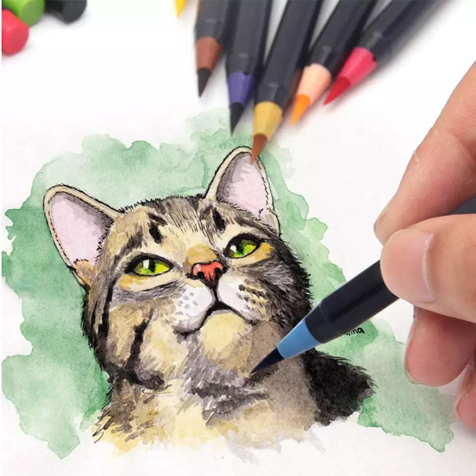 Watercolor brushpen - katt